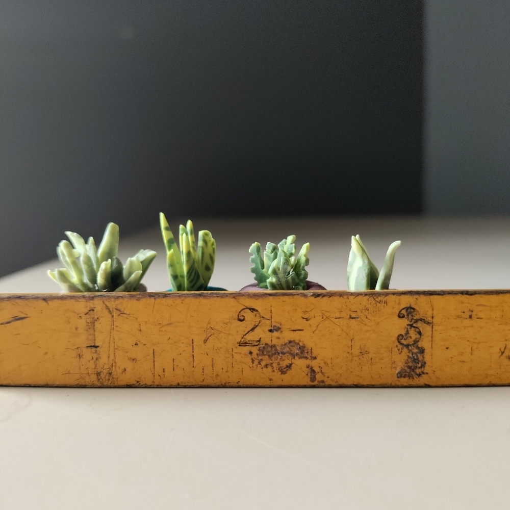 4 mini clay potted plants - Picture 2 of 7